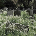 ¿Se dan nuevos avances en ciencia tras la muerte de científicos relevantes? [ENG]