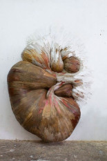 Henrique Oliveira, cuando la arquitectura se funde con la naturaleza