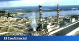 Así es el hongo del reactor de Chernóbil que no muere y se alimenta de radiación