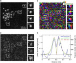 La nueva factura detallada de Iberdrola incluirá nubes de átomos con la trayectoria mensual de los electrones