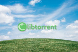 BitTorrent v2: el protocolo P2P que todos amamos se renueva con el lanzamiento de libtorrent 2.0