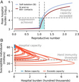 Las dinámicas de transmisión revelan la impracticabilidad de las estrategias de inmunidad colectiva de COVID-19 [ENG]