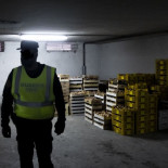 Golpe a la ‘mafia de las setas’