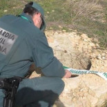 Muere ahogada una mujer al intentar rescatar a su perro, que cayó a un pozo en Madrid