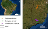 Algunos bosques dejan de procesar el dióxido de carbono y pasan a emitir gas [ENG]