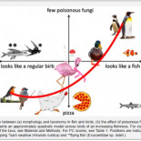 Predatory Journals: "Las aves con aspecto de pez crecen donde no hay setas venenosas..."