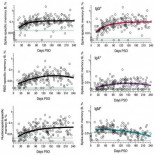 La evolución de la inmunidad al SARS-CoV-2 tras superar la COVID-19