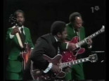 BB King. Concierto en Estocolmo 1974