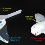 Un robot blando con aspecto de pez consigue nadar en las profundidades de las Marianas