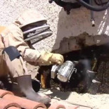 Descubren un inmenso enjambre con más de 200.000 abejas en la pared de una vivienda