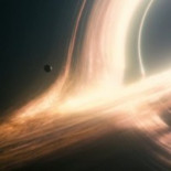 El Síndrome del Jardinero Ausente