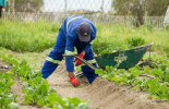 Los agricultores podrán vender de forma directa al consumidor