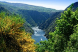 Denuncian la tala indiscriminada de más de 25.000 metros de bosque autóctono en la Ribeira Sacra [gal]