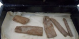 La reliquia de Guiza hallada en una caja de puros es aún más antigua que la Gran Pirámide