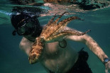 El documental de Netflix donde un hombre se hace amigo de un pulpo