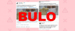 No, la OMS no ha dado "categoría de excelencia" a la vacuna cubana 'Soberana 2'