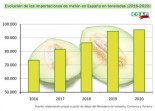 Carrefour vende melones de Brasil como si fueran españoles