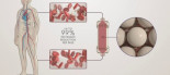 Seraph 100: el filtro de sangre que atrapa al coronavirus
