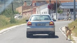 Maltrato animal en un pueblo de Cartagena: ata a un perro al coche y se pasea por las calles