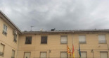Se escapan dos cabras en María de Huerva y acaban en el tejado del Ayuntamiento