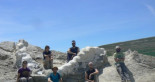 Descubierta en Camarillas la columna vertebral de uno de los mayores dinosaurios de Europa