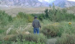 Un hombre lleva dos décadas creando un oasis en mitad del desierto [en]
