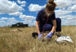 Localizan unos 100 buitres leonados y negros envenenados en la provincia de Salamanca