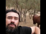 Singular saludo en el campo chileno