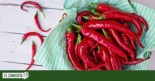 ¿Por qué casi no hay picante en la comida española?