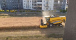 Se negó a vender su campo y ahora trabaja la tierra en medio de la ciudad
