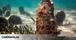 La nacra, el 'mejillón gigante' del Mediterráneo en peligro crítico de extinción