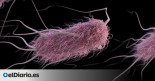 Las depuradoras de agua se convierten en fabricas de superbacterias resistentes