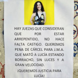 La familia de la víctima del accidente mortal en Aranda recurrirá para que el acusado vaya a prisión
