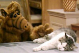 ¡Vigilad a vuestros gatos! 'ALF' llega este verano a HBO Max