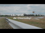 Las ranas negras de Chernobyl