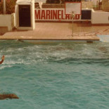 La historia detrás del linchamiento que acabó con la vida del ‘rey de los delfines’