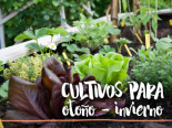 Cultivos de invierno: A estos cultivos les gusta (de verdad) el frío