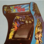 Publicados manuales de Donkey Kong (Video Game), Enduro Racer y Pole Position