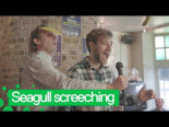 Bélgica organiza campeonato de imitación de gaviotas [ENG/GAV]