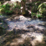 Visita a la fuentona de Fontibre, el nacimiento del Ebro