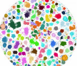 La evolución no es tan aleatoria como pensábamos