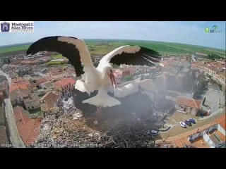 Lo ha vuelto a hacer