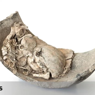 Ni infanticidio ni sacrificio ritual, la dura realidad de nacer hace mil años en Canarias