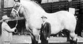 Fotos históricas de las que apenas hemos hablado [FRA]