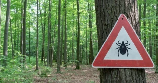 Lo que sabemos sobre la fiebre hemorrágica de Crimea-Congo tras su detección en Salamanca