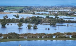 Los agricultores del Reino Unido consideran renunciar después del clima extremadamente húmedo y las bajas ganancias (ENG)