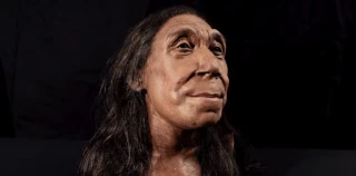 La reconstrucción del rostro de una mujer neandertal de hace 75 000 años la hace parecer simpática, pero hay un problema en su idealización