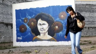 El hombre que se enfrentó a la poderosa industria del carbón para salvar un enorme y precioso bosque... y ganó