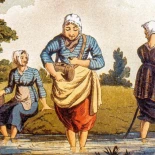 Cuando la fiebre de las sanguijuelas medicinales llevó a su práctica desaparición en España