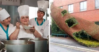 32 Fotos que resultaron ser obras de arte accidentales